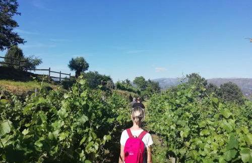 Quinta de Santa Marinha - Foto 8