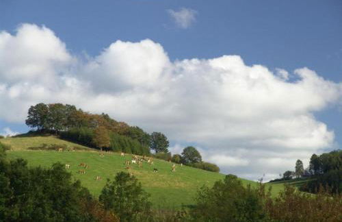 Holiday home in Ramsbeck with garden - Foto 33