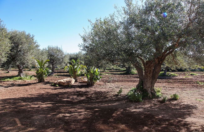 Zahir Country House - Photo 70