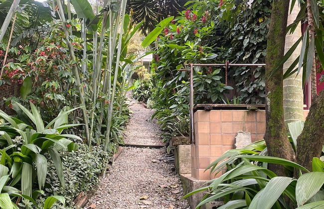 Son de La Loma Apartments - Photo 24