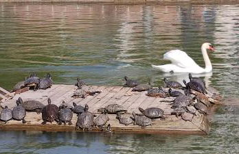 PARQUE DEL MEDITERRANEO - Photo 44