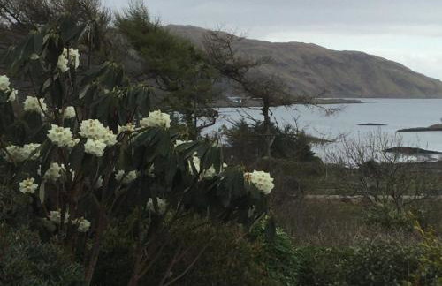 Oban Seil Farm - Photo 31