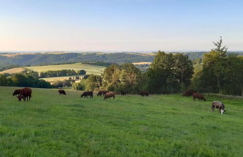 Biohof Seifert - Foto 11