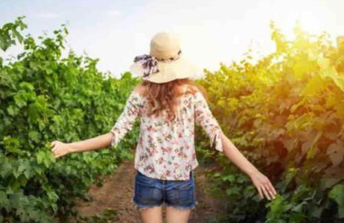 Villa turística Camina y Rioja - Foto 31