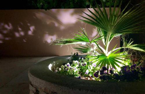 Orhideja Apartment - Foto 28