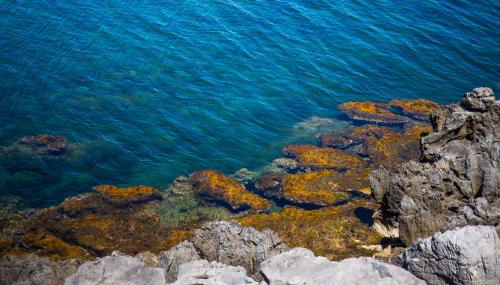 CEFALUX - Torre Bastione sul Mare - Foto 5