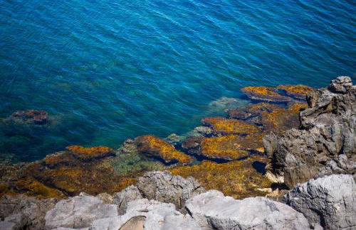 CEFALUX - Torre Bastione sul Mare - Foto 5