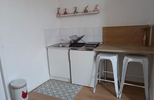 Appartement au cœur du patrimoine sézannais - Foto 5