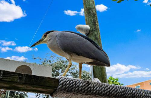 San Remo 307 Gulf Front Splendor 3BD 2BA - Foto 50