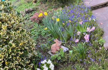 EMI4 Modern Apt Near Swiss Border Free Parking - Foto 58