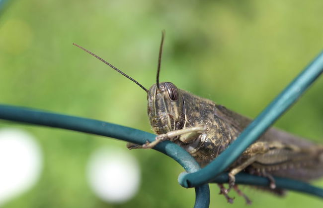 Loft In Rio - 8 Hospedes - Photo 16