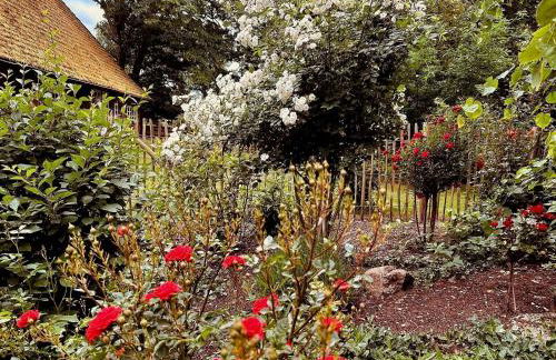Auszeit vom Alltag in urigem Ferienhaus in idyllischer Natur im Dümmer-Weserland, Sauna & Kraniche - Foto 14
