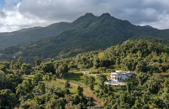 WALD HAUS by DW - Foto 11