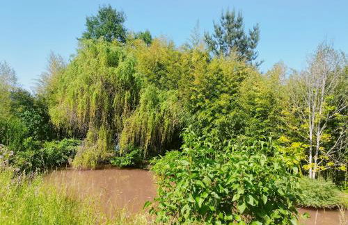 Les capucines la souris des champs - Foto 26