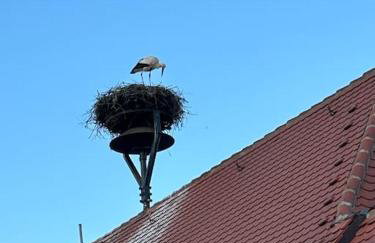 Ferienwohnung am Storchennest - Foto 60