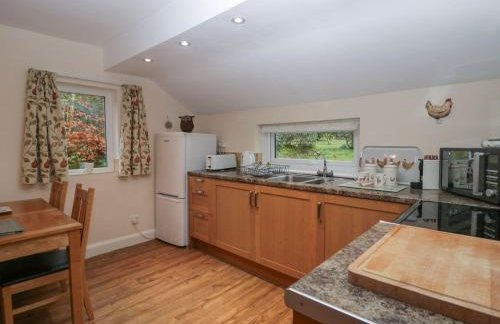 Low Jock Scar - Foto 31