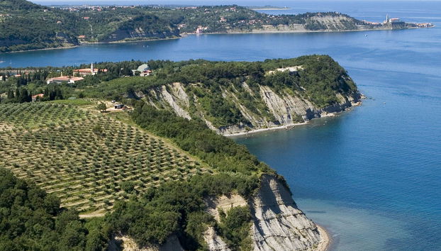 Salinera - Foto 3, Place