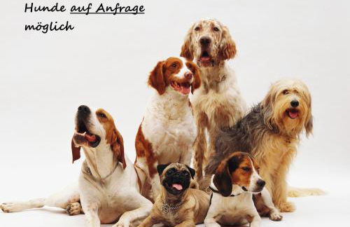 Fewo Gabriela Allgäu - Photo 2