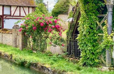 La maison Virginie 1 à 2 pers charmant central-parking gratuit- linge- fibre- proximité port lac canal piscine - Photo 19