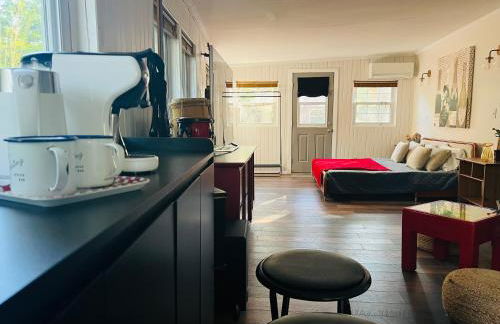 Charming Romantic Lakefront Cottage or Guest Room Depending on Availability Near Golf - Foto 9