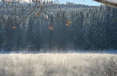 Rennsteig-Pension Trautwein - Foto 11