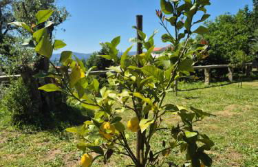 Casa grilo valença - Foto 17