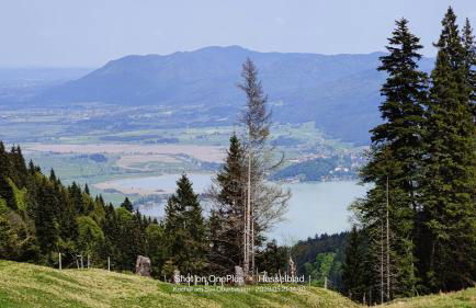 Ferienapartment Opitz - Zugspitzregion - Foto 30