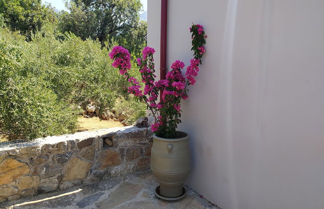 Villa Kastania - Foto 62