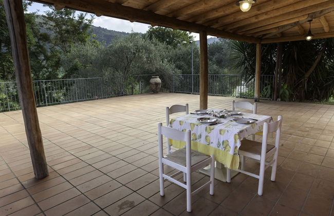 Agricontura - Foto 68