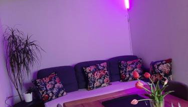 Agroturystyka Siedlisko - Foto 5