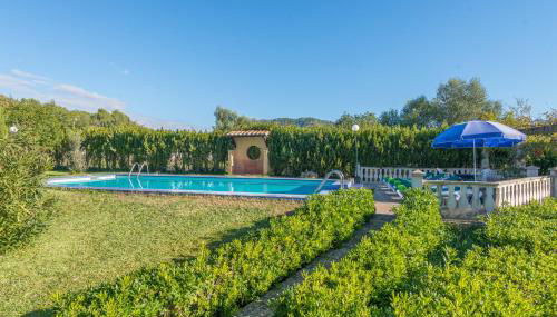 Hibiscus in Sa Pobla - Foto 3, Garden