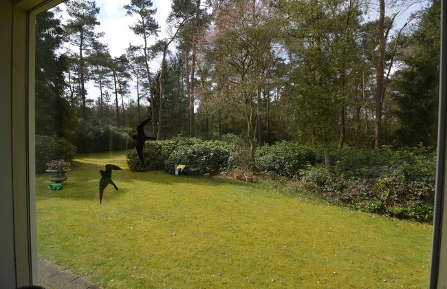 Holiday Home in Huijbergen Near Forest - Foto 16