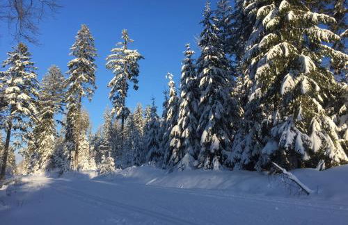 Ferienhäuschen Sans Pareille bei Bayreuth - Foto 50