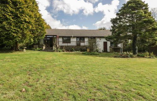 Three Jays - Foto 19