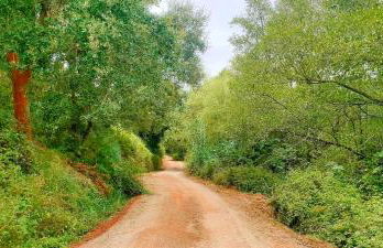 Fatima Villas - Foto 28