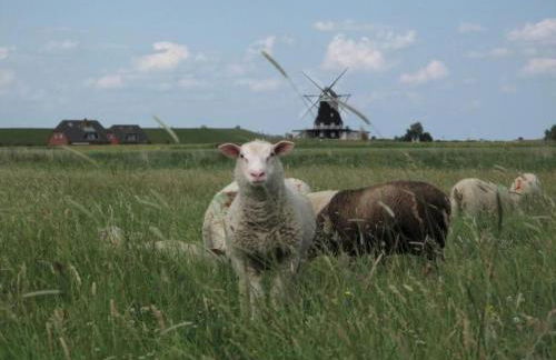 Apartment Pellworm by Interhome - Photo 27