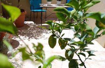 The Green House - Foto 9