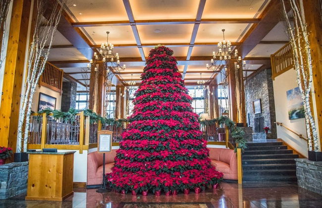 1230 Studio at The Lodge at Spruce Peak - Photo 12