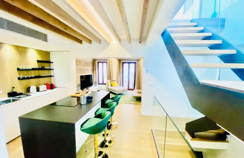 Hotel-Apartment with big terrace - Foto 1