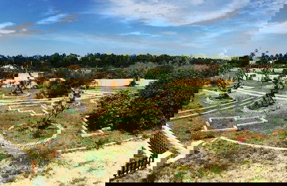 Villa Elemar - Photo 1