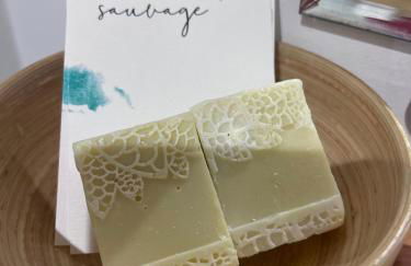 LES APPARTEMENTS DU SAINT THIERS, la Provence dans un coin de la Drôme et l'esprit d'une maison d'hôtes à Saoû - Foto 5