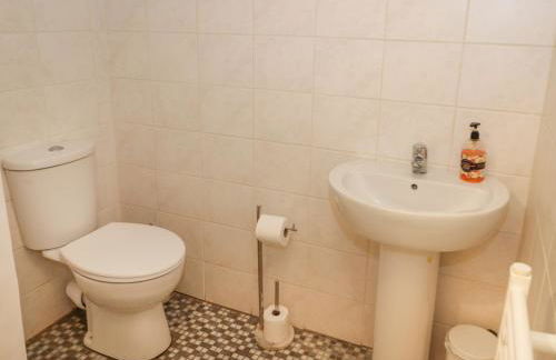 Bryn Dedwydd Farmhouse - Photo 23