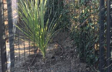 Le gîte du golf - Foto 40