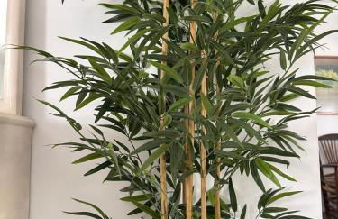 El Cortijo - Foto 13