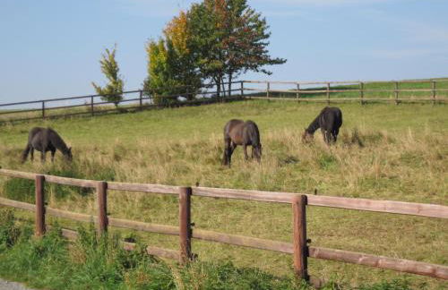 Ferienunterkunft Börner - Foto 26