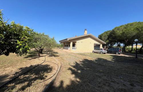 Casa olivar de Riudoms - Foto 7