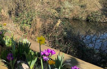 Canal view 2 bedrooms end of terrace - Foto 13