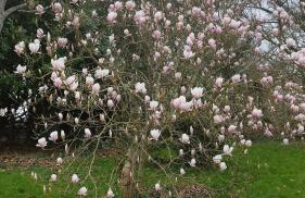 Gîte Lann Er Viline - Foto 10