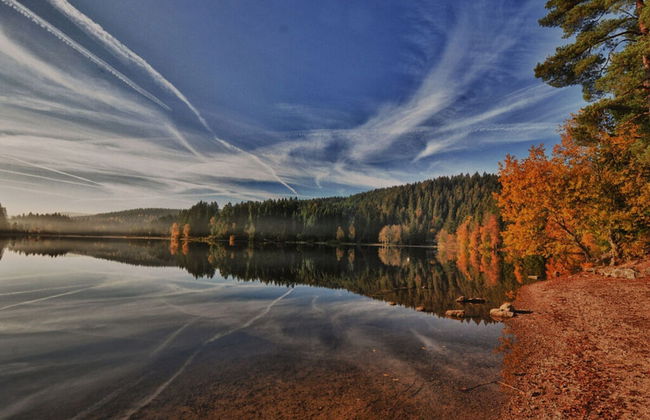 Holiday Home Scharzwald - Foto 16