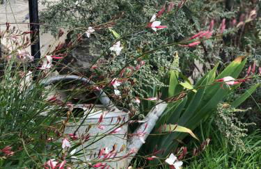 La Grange de Timon - Photo 7